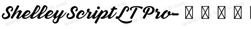 Shelley Script LT Pro字体转换